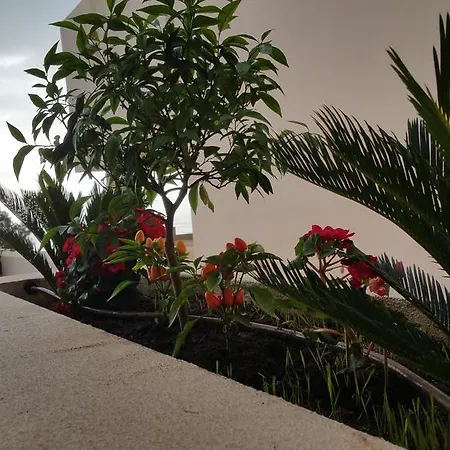 Apartment Princess Soraya's Estepona